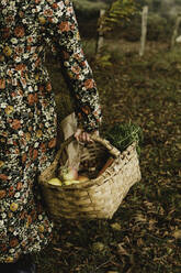 Back view crop female farmer in colorful flowered dress with big wicker basket with ripe fresh vegetables and fruits in composition with herbs and hazelnut while standing on grass among brown dry foliage in autumn field - ADSF37932
