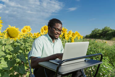 Smiling businessman using laptop in sunflower field - OSF00911