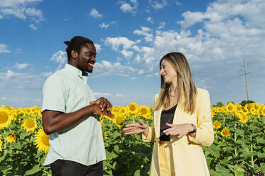 Smiling businesswoman talking with colleague in sunflower field - OSF00920