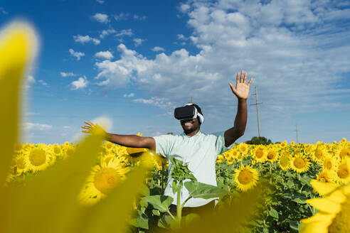 Happy man wearing virtual reality simulator gesturing in sunflower field - OSF00924