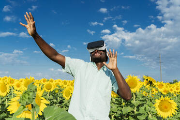 Lächelnder junger Mann mit Virtual-Reality-Simulator tanzt in einem Sonnenblumenfeld - OSF00926