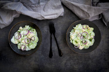 Studioaufnahme von zwei Schüsseln Gurkensalat mit Joghurt, Zwiebeln und Fetakäse - LVF09230