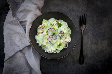 Studioaufnahme einer Schüssel Gurkensalat mit Joghurt, Zwiebeln und Feta-Käse - LVF09232