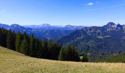 Germany, Bavaria, Panoramic view from Stumpfling mountain in summer - JTF02177
