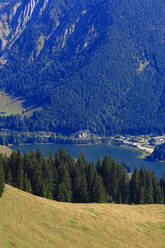 Germany, Bavaria, Spitzingsee lake seen from Stumpfling mountain in summer - JTF02180