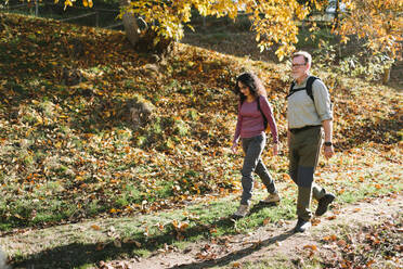 Ganzkörper-Positiv reifes Paar tragen lässige Outfits spazieren zusammen in sonnigen Herbst Park - ADSF38031