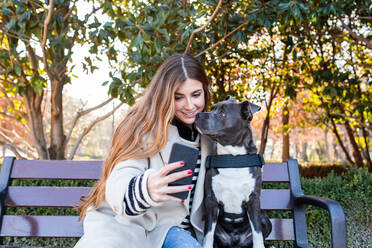 Junge Frau, die ein Selfie mit ihrem amerikanischen Stanford-Hund macht, während sie auf einer Bank im Park sitzt - ADSF38107