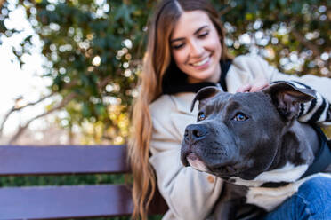 Young woman having fun with her american stanford dog while sitting on bench at park - ADSF38109