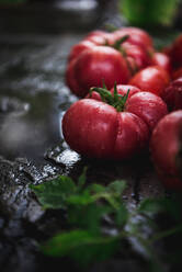 Diverse frische Tomaten auf schwarzem Brett - ADSF38332