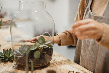 Hoher Winkel der ruhigen erwachsenen Frau in Freizeitkleidung und grauer Schürze, die kleine grüne Sukkulenten in ein Glasterrarium pflanzt, während sie an einem Tisch in einer modernen hellen Wohnung steht - ADSF38442