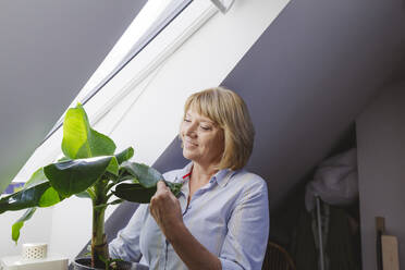 Glückliche ältere Frau, die das Blatt einer Bananenpflanze zu Hause berührt - IHF01282