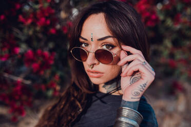 High angle of confident stylish tattooed female with nose piercing and bindi touching sunglasses and looking at camera with interest on street against blurred shrub with vinous flowers - ADSF38457