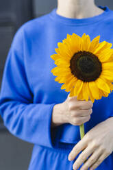 Frau steht und hält Sonnenblume - SEAF01190