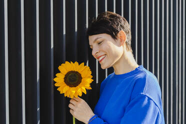 Glückliche Frau mit Sonnenblume an einer gestreiften Wand an einem sonnigen Tag - SEAF01210