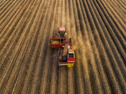 Combine harvester harvesting in farm - NOF00631