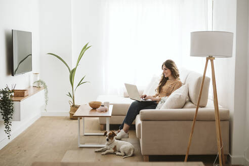 Junge Frau mit Hund, die zu Hause auf dem Sofa einen Laptop benutzt - EBBF06423
