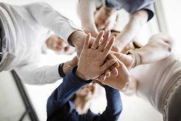 Business people stacking their hands together - DCRF01371