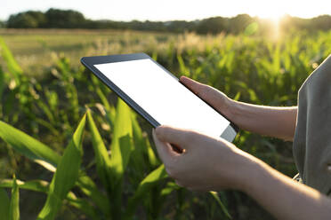 Nahaufnahme einer Frau mit digitalem Tablet in einem Feld - EKGF00066