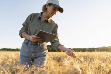 Woman holding digital tablet in field examining barley ear - EKGF00070