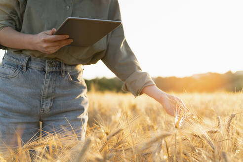 Frau hält digitales Tablet im Feld und untersucht Gerstenähre - EKGF00071
