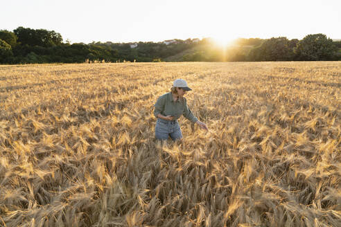 Woman holding digital tablet in field at sunset examining barley ear - EKGF00073