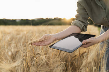 Frau hält digitales Tablet im Feld und untersucht Gerstenähre - EKGF00080