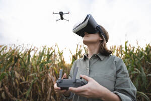 Woman with VR glasses and remote control operating drone in maize field - EKGF00090