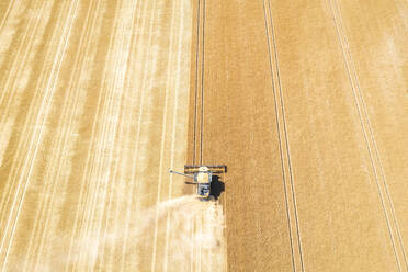 Aerial view of combine harvester in vast wheat field - SMAF02171
