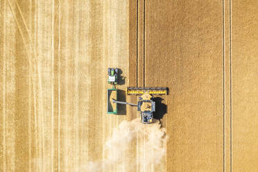 Aerial view of combine harvester in vast wheat field - SMAF02172