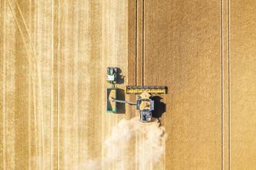 Luftaufnahme eines Mähdreschers in einem großen Weizenfeld - SMAF02172