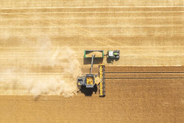 Aerial view of combine harvester in vast wheat field - SMAF02173