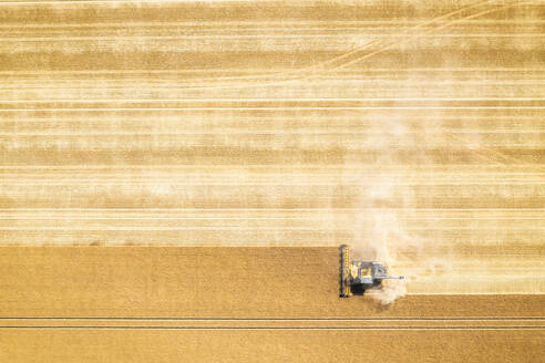 Luftaufnahme eines Mähdreschers in einem großen Weizenfeld - SMAF02174