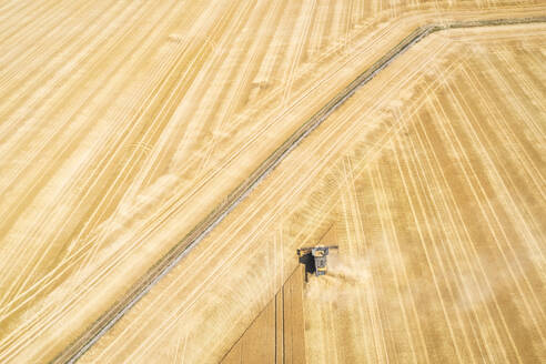 Luftaufnahme eines Mähdreschers in einem großen Weizenfeld - SMAF02175
