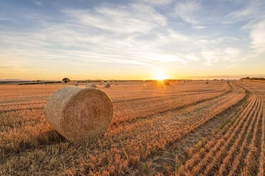 Hay bales lying in field at sunset - SMAF02195