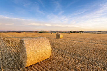 Hay bales lying in field at dusk - SMAF02196