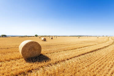 Hay bales lying in harvested field - SMAF02208