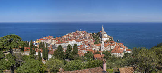 Slowenien, Piran, Panoramablick auf die Küstenstadt mit klarer Horizontlinie über dem Adriatischen Meer im Hintergrund - ABOF00854