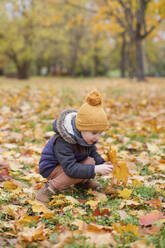 Junge sammelt Herbstblätter im Park - ONAF00022