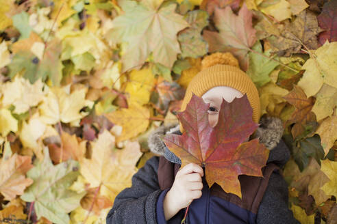 Junge bedeckt Gesicht mit Herbstblatt - ONAF00032