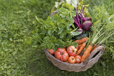 Fresh vegetables in basket on grass - ONAF00042