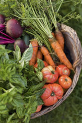 Fresh vegetables in basket - ONAF00043