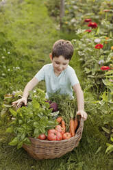 Lächelnder Junge mit Gemüsekorb im Garten - ONAF00044
