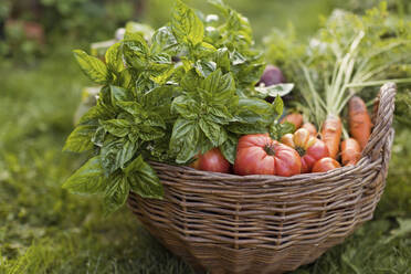 Basket of vegetables on grass - ONAF00046