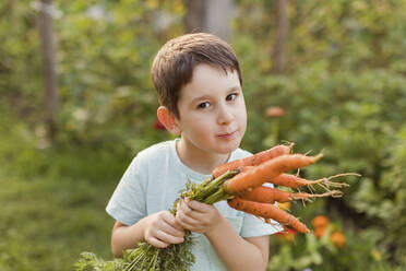 Niedlicher Junge hält Karotten im Garten - ONAF00049