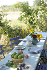 Herbstlich gedeckter Tisch im Garten - GISF00916