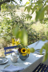 Herbstlich gedeckter Tisch im Garten - GISF00917
