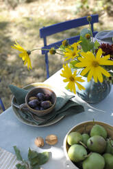 Vase mit blühenden Blumen, Pflaumen, Walnüssen und Birnen auf herbstlich dekoriertem Tisch - GISF00920