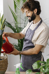 Happy man watering plant from can at plant shop - XLGF03083