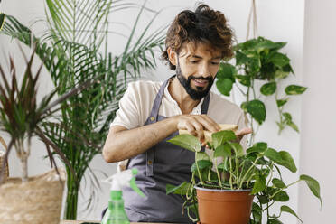 Smiling man cleaning leaf of plant with napkin - XLGF03099