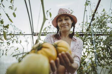 Lächelnder Bauer mit Blick auf reife Tomaten im Gewächshaus - IEF00007